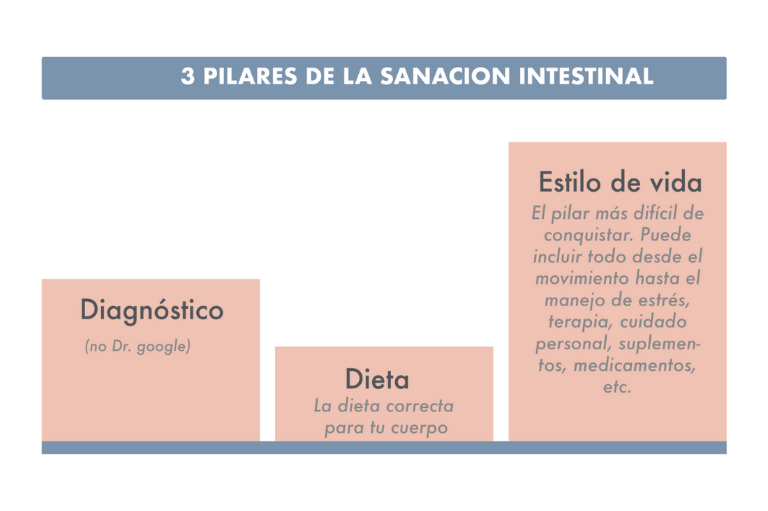 Los 3 pilares de la sanación intestinal de Marce Wellness