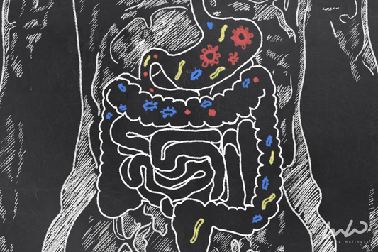 Lista de condiciones digestivas comunes