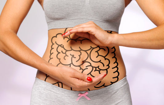 Salud intestintal vs Sanación intestinal